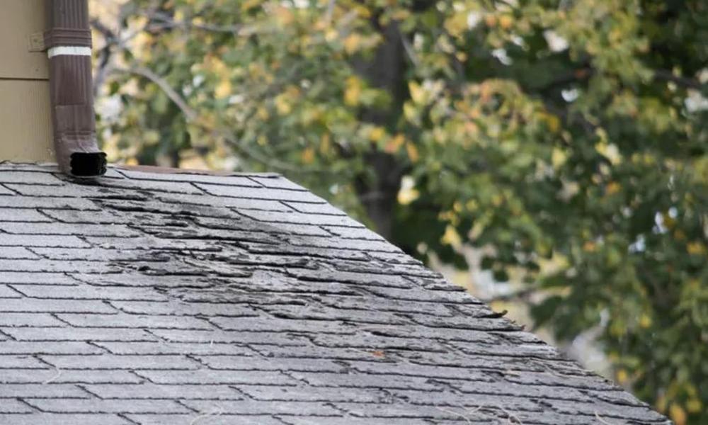 Investing in Your Roof