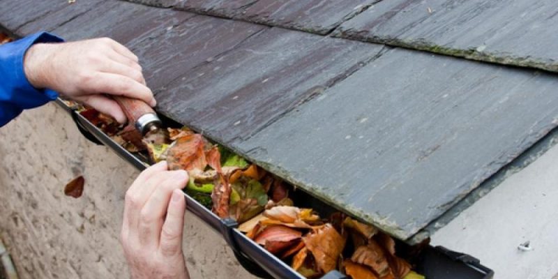 Roof Maintenance Tips to Prevent Roof Damage