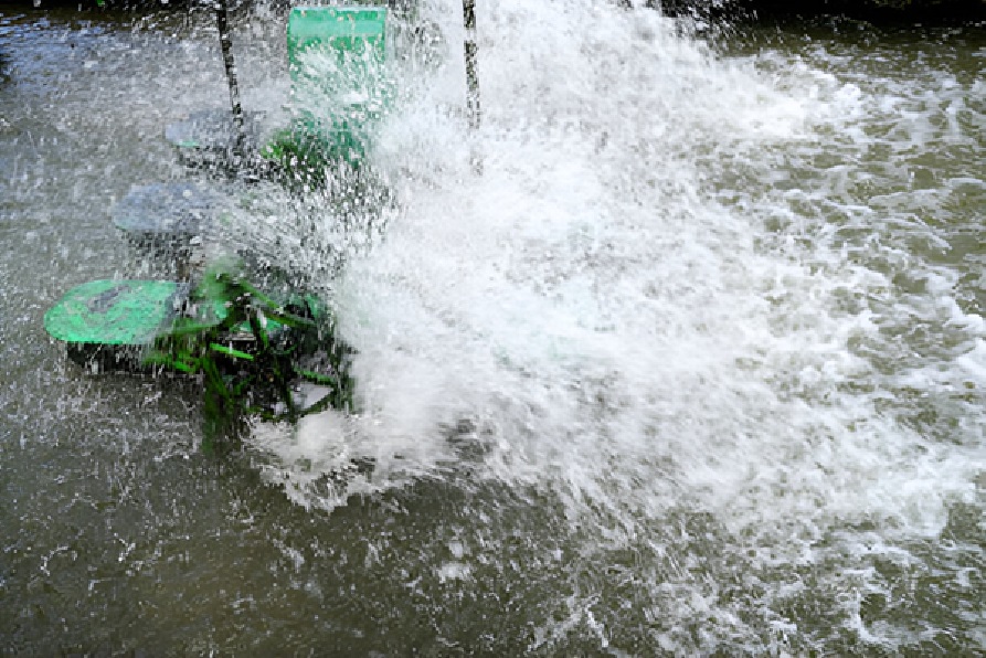 Pond Aeration